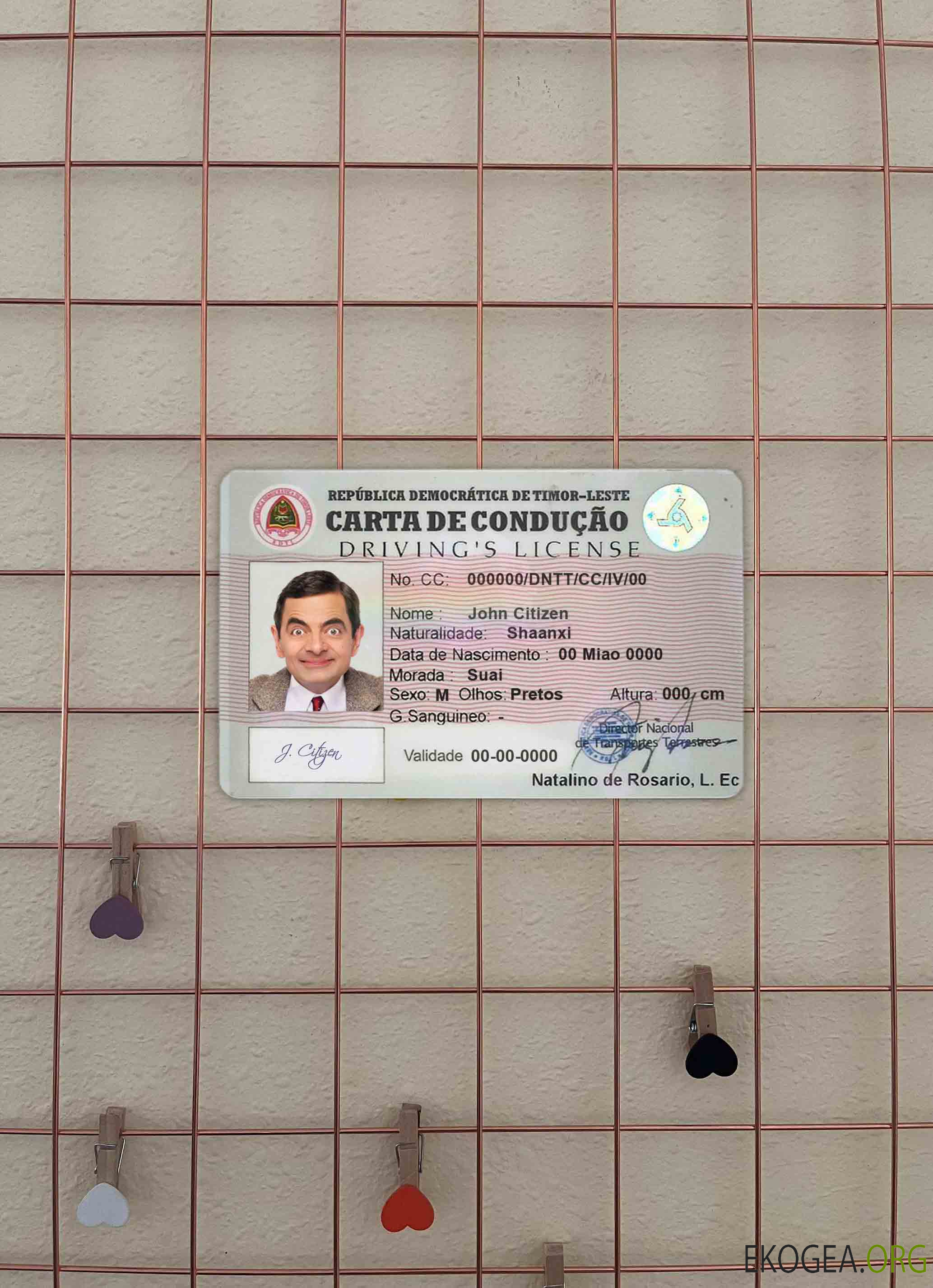 Timor Leste DL photolook AVANT